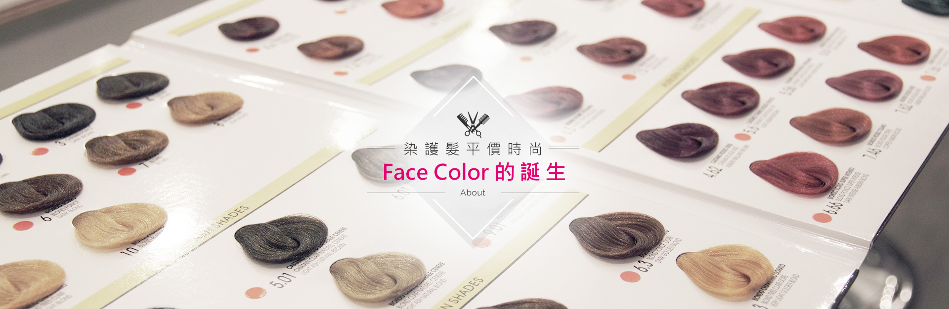 染護髮專門店平價時尚 FaceColor的誕生