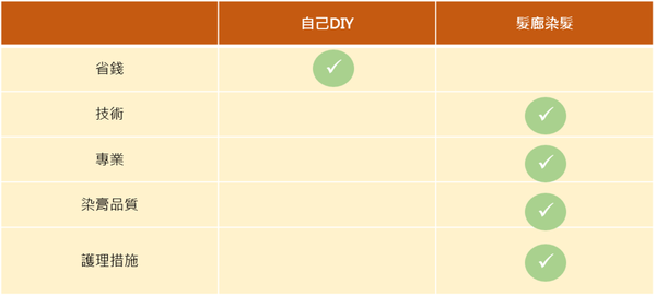 染髮DIY和髮廊染髮比較